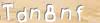 Visual Recognition Code