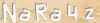 Visual Recognition Code