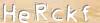 Visual Recognition Code