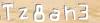 Visual Recognition Code
